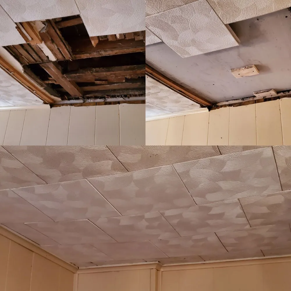 Slide of ACF Pro Services