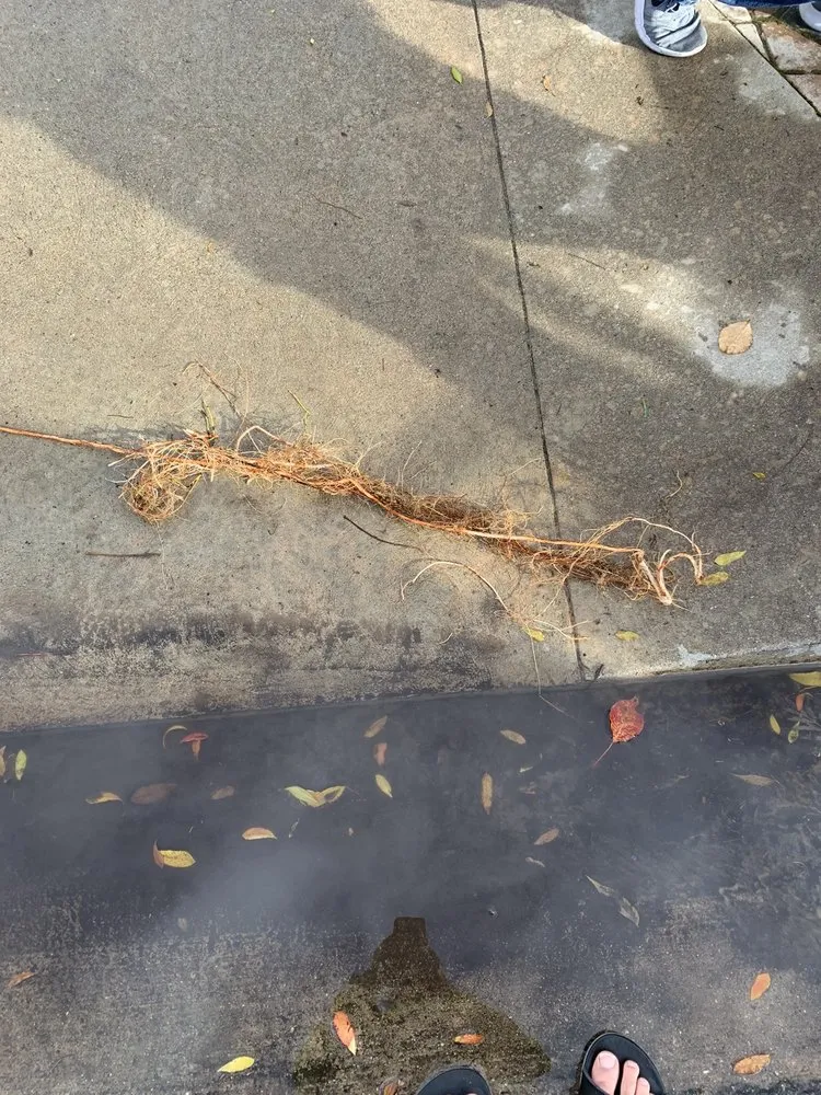 Slide of Acme Drain & Rooter Service