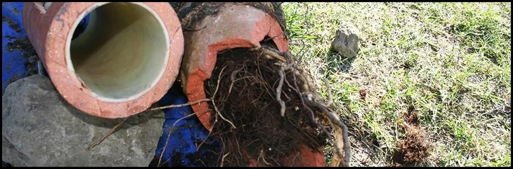 Slide of Acme Drain & Rooter Service