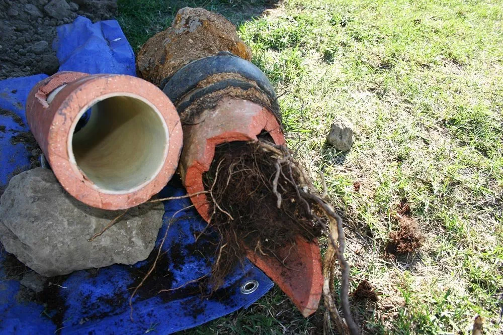 Slide of Acme Drain & Rooter Service