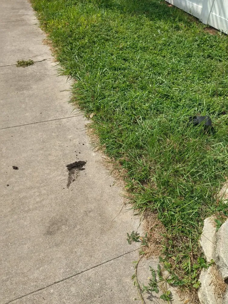 Top-rated water heater service in Tampa, FL by Acree Plumbing, Air & Electric