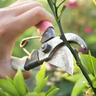 Slide of ACT Property Maintenance & Repair