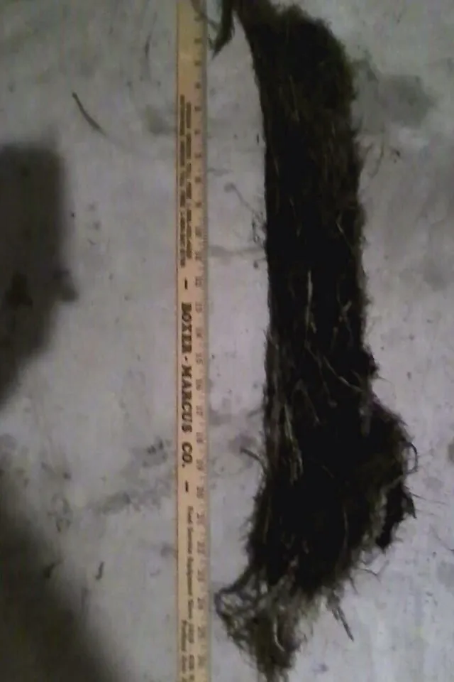 Slide of Action Drain & Plumbing