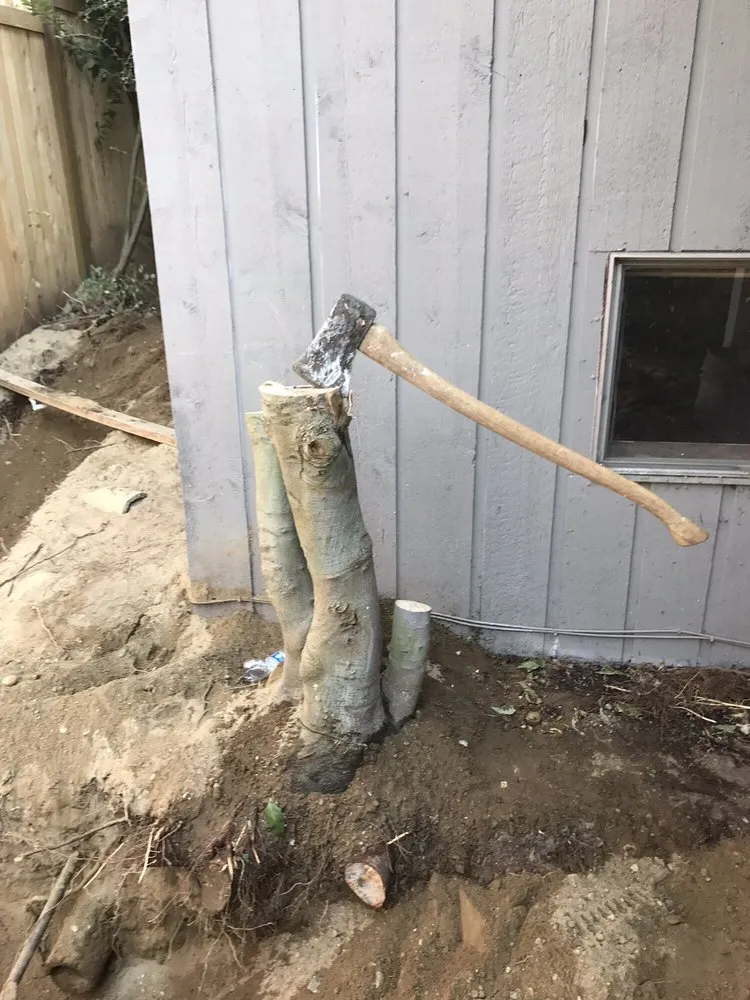 Emergency pipe repair service in Edmonds, WA - Action Jackson Drain Cleaning & Plumbing