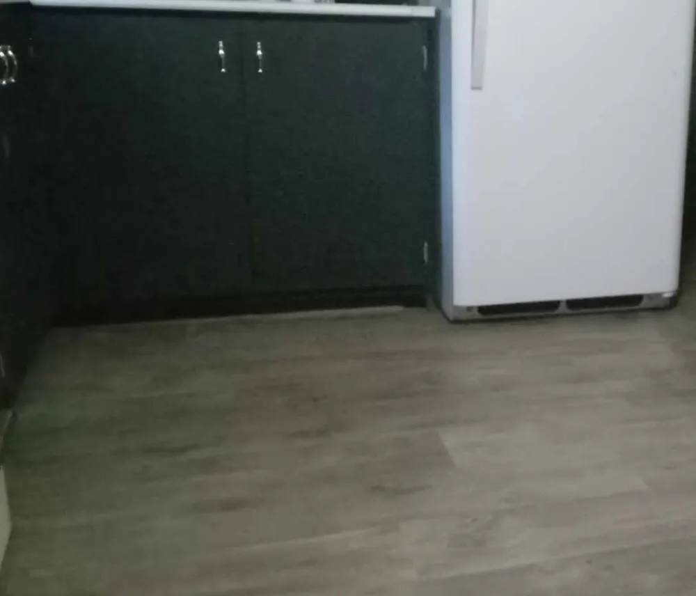 Slide of Action Jackson Home Repairs