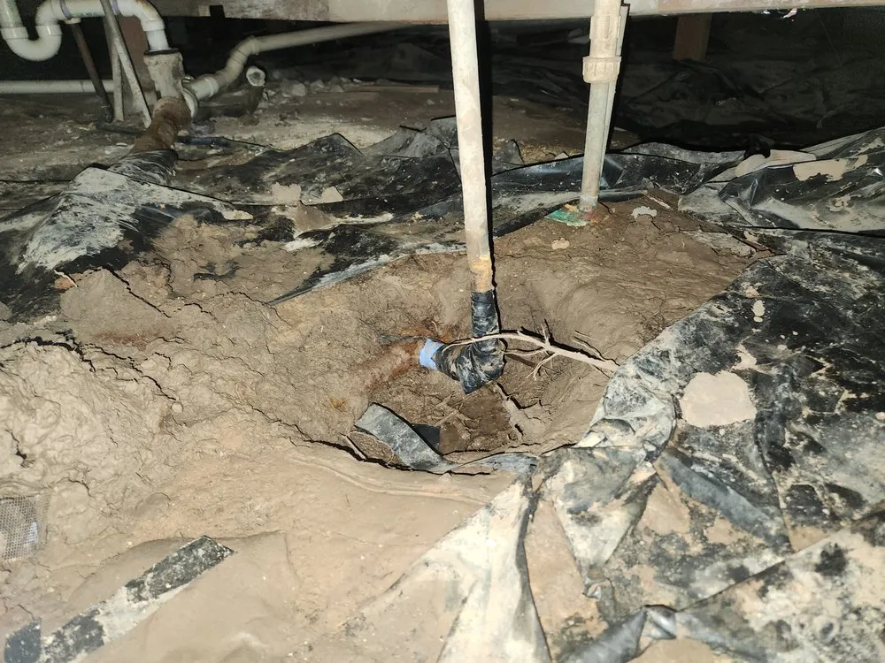 Slide of Action-Lane Plumbing