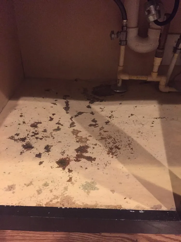 Trusted pipe repair for homes in Madison, WI by Action Plumbing Heating Air Conditioning and Electric