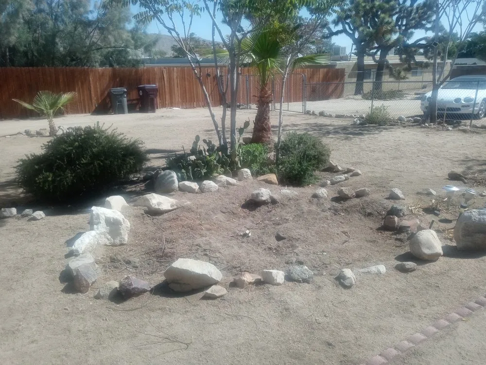 Slide of Action Pumping