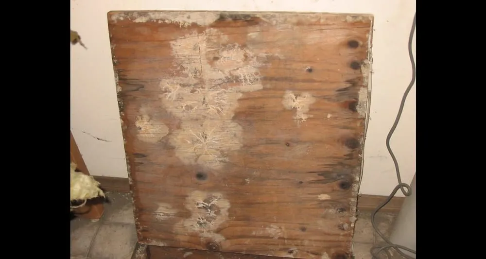 Slide of Action Response Team