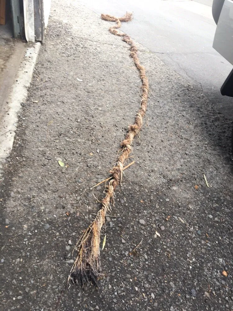 Slide of Action Rooter & Plumbing