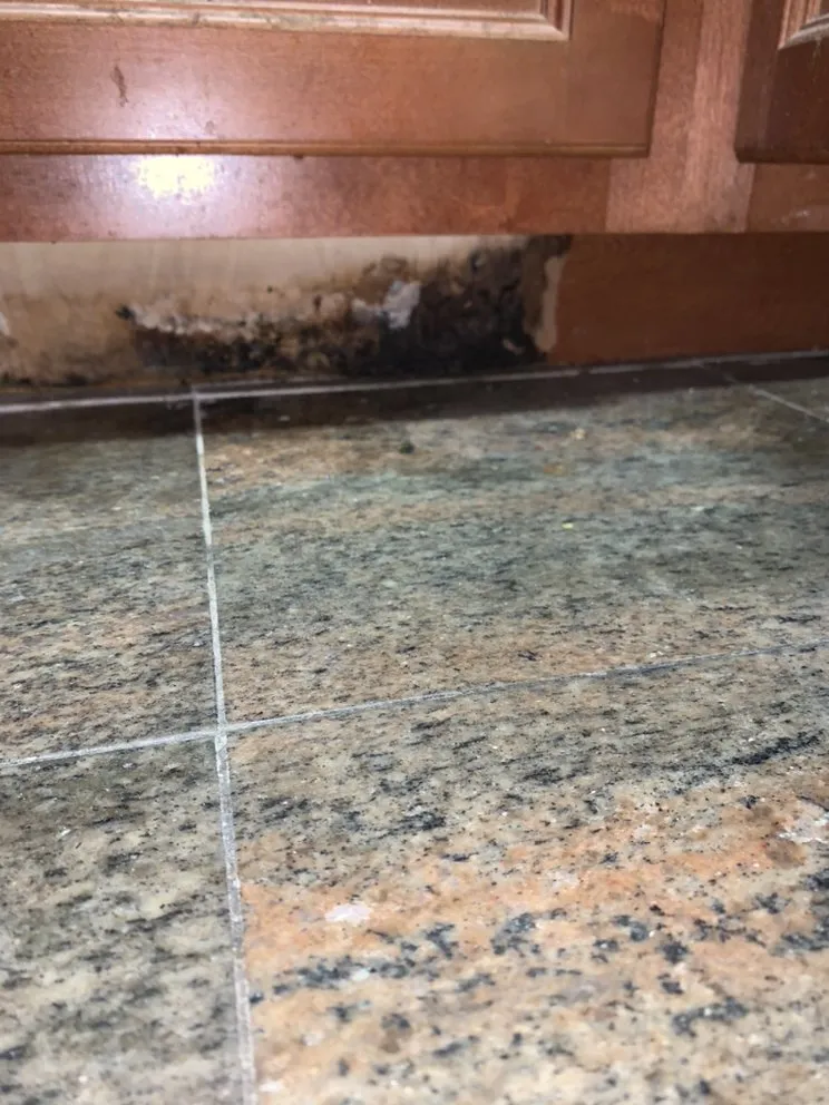 Trusted plumbing repair experts serving Deltona, FL - Active Leak Solutions - Leak Detection Specialist 