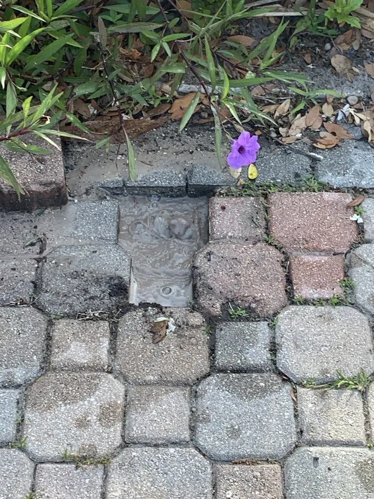 Slide of Active Leak Solutions - Leak Detection Specialist 