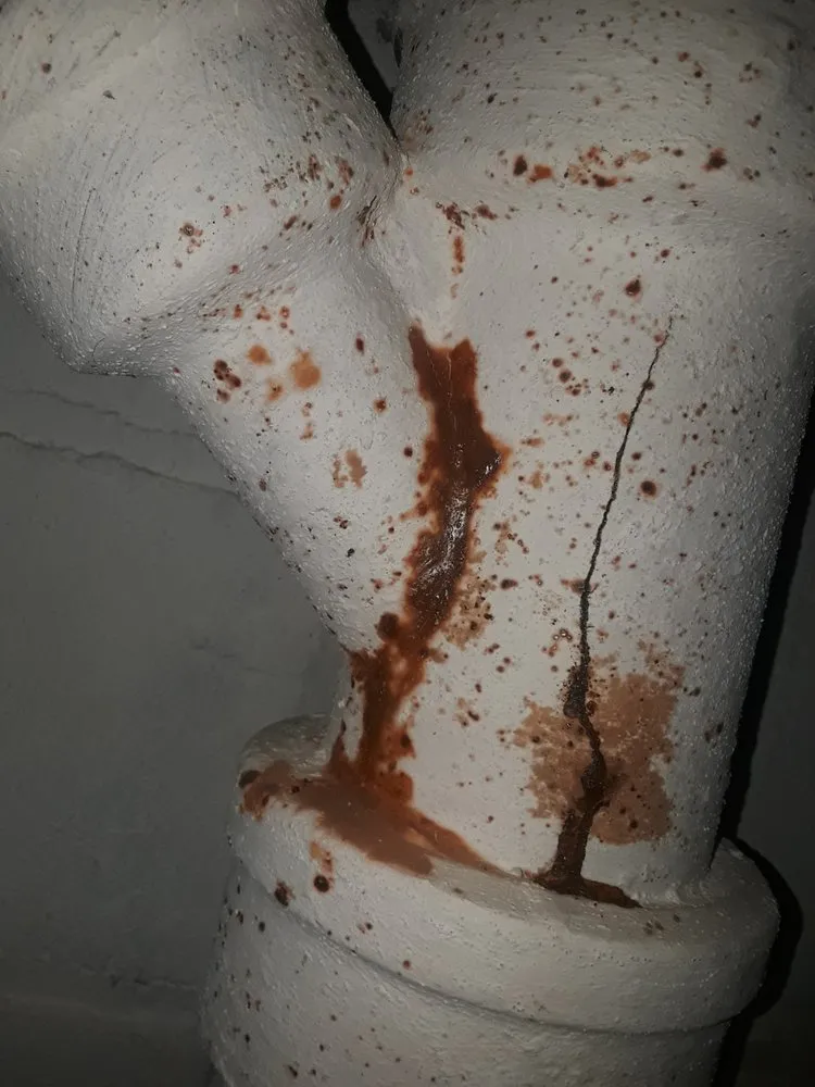 Slide of Adam The Plumber