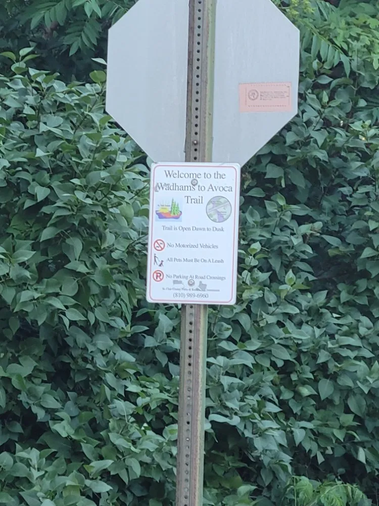 Trusted plumbing repair service in Kimball Township, MI - Adams Inline Plumbing