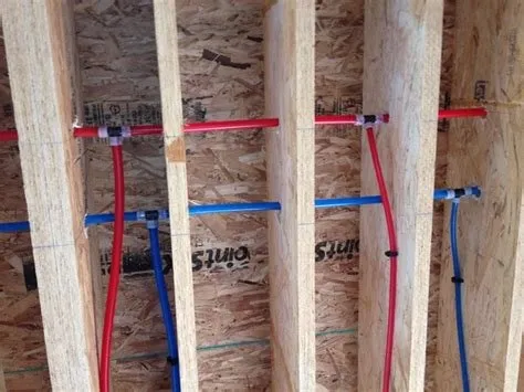 Slide of Adam's Plumbing