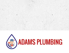 Slide of Adam's Plumbing