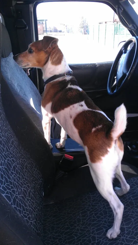 Slide of Adams Plumbing