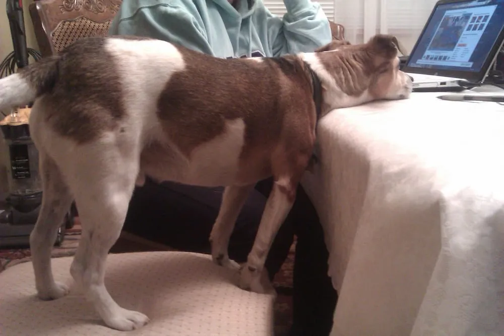 Slide of Adams Plumbing