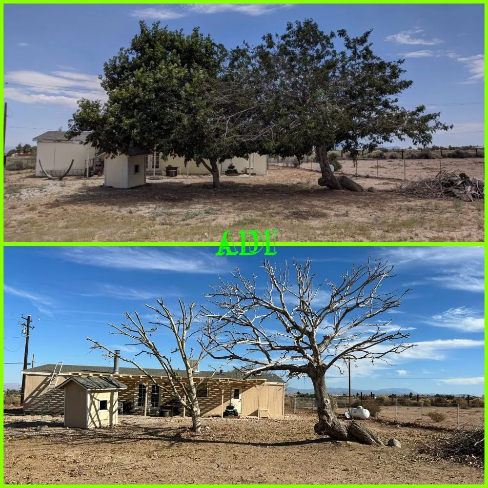 Slide of ADI Landscaping