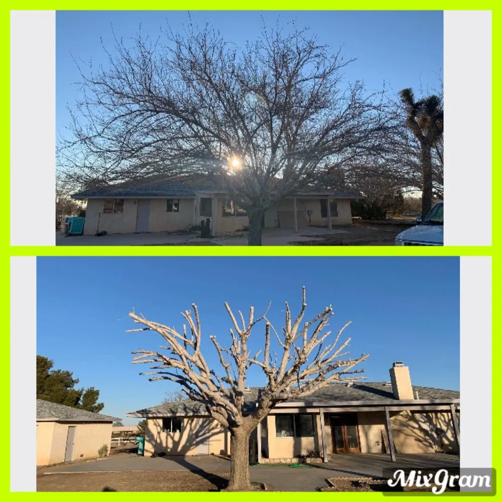 Slide of ADI Landscaping