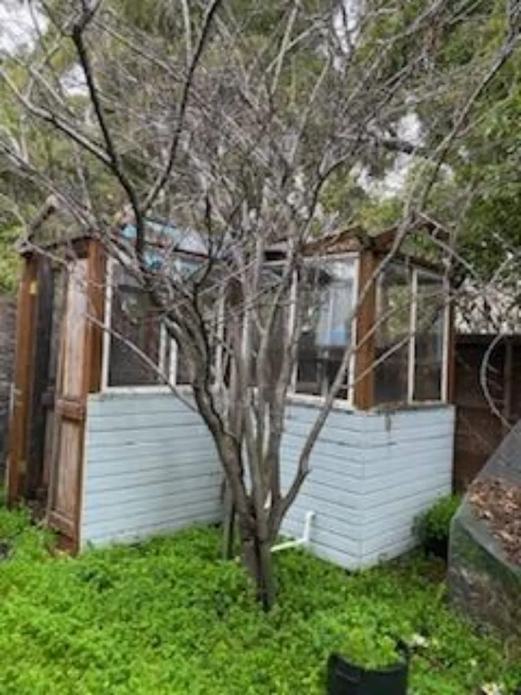 Slide of Adm Diamond Build