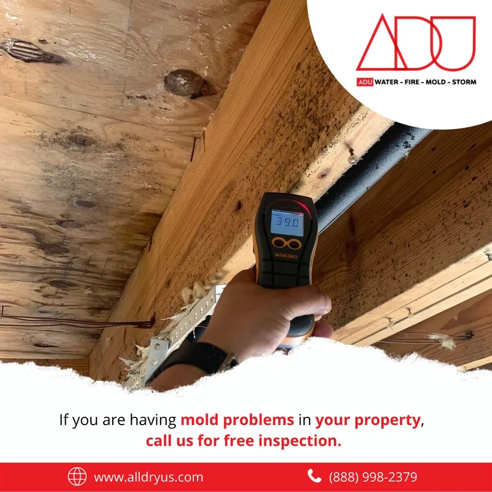 Slide of ADU Water Fire Mold Storm