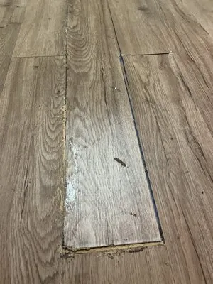 ADU Water Fire Mold Storm