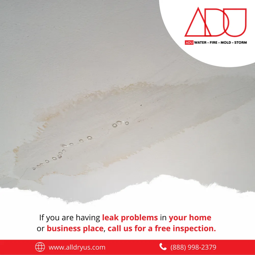 Slide of ADU Water Fire Mold Storm