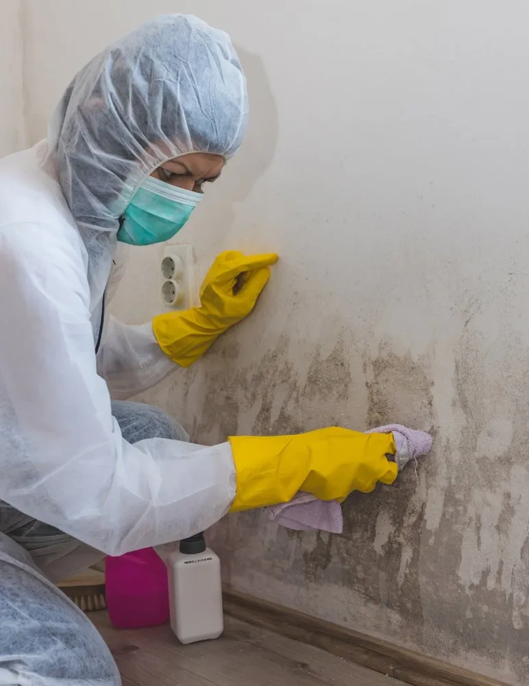 Slide of ADU Water Fire Mold Storm