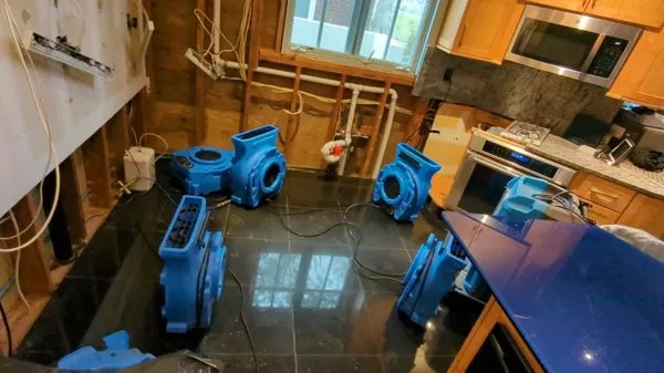 ADU Water Fire Mold Storm Logo