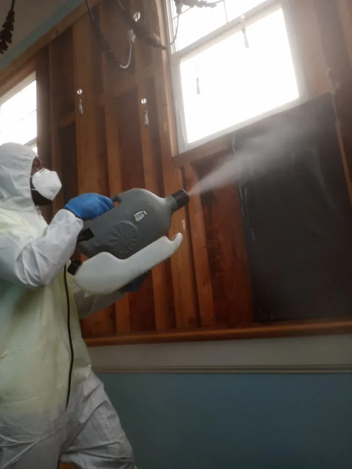 Reliable pipe repair experts serving Jacksonville, NC - ADU Water Fire Mold Storm