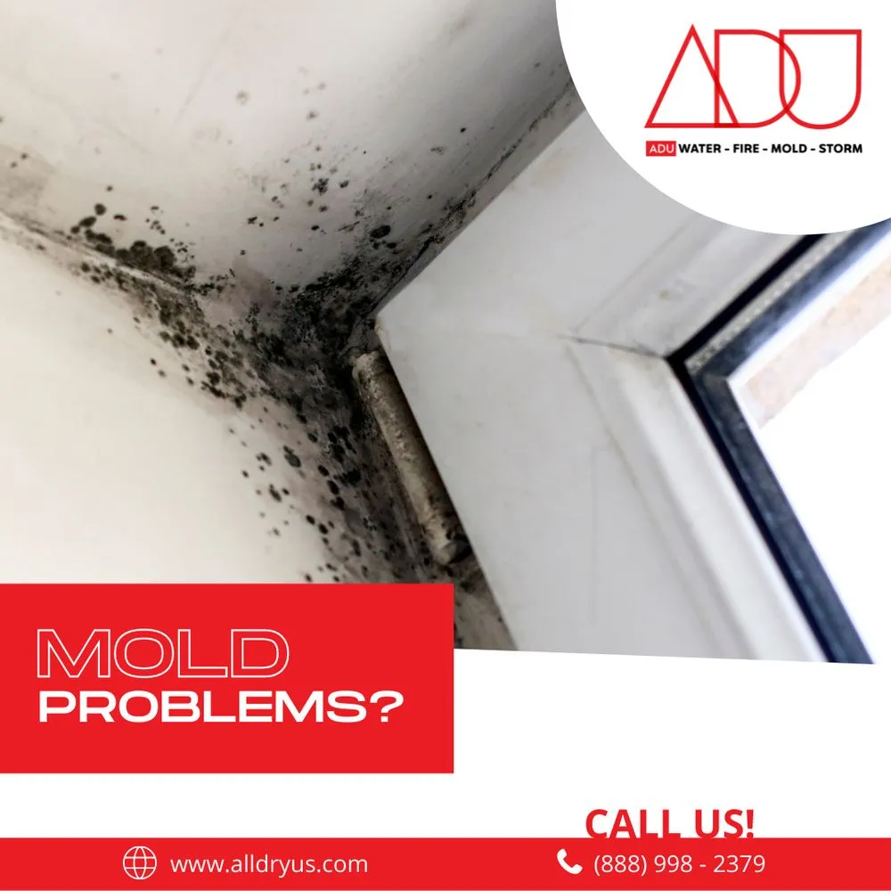 Slide of ADU Water Fire Mold Storm