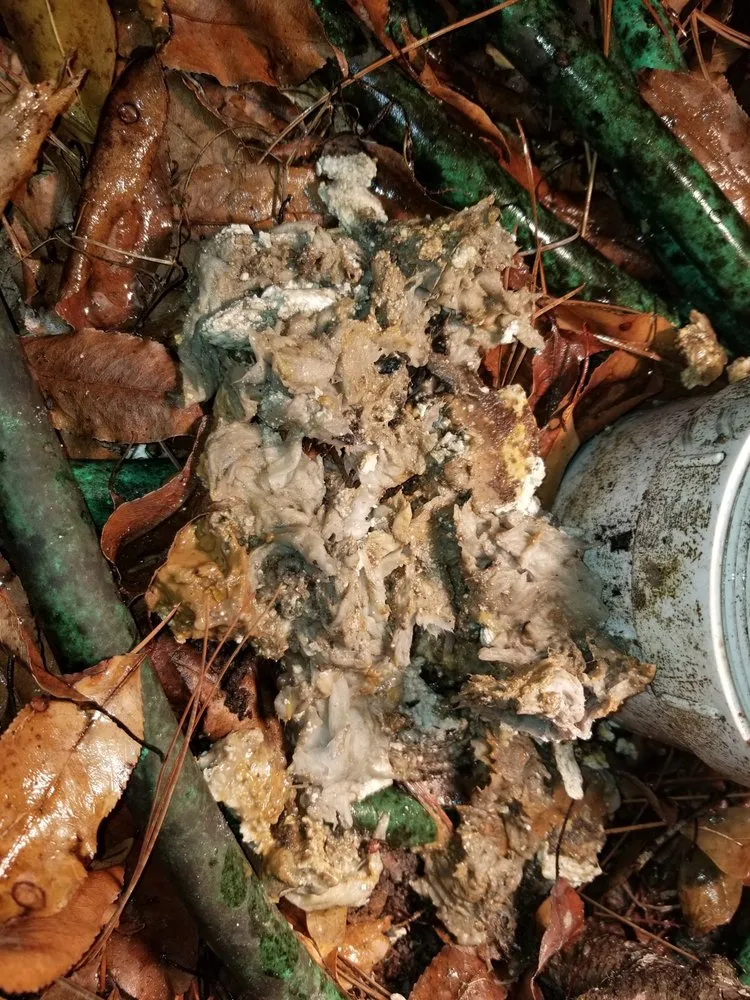 Slide of Advanced Connections