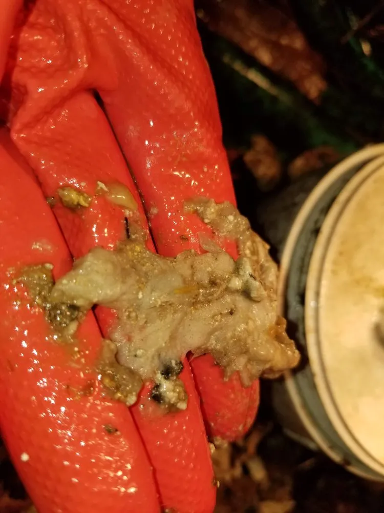 Slide of Advanced Connections