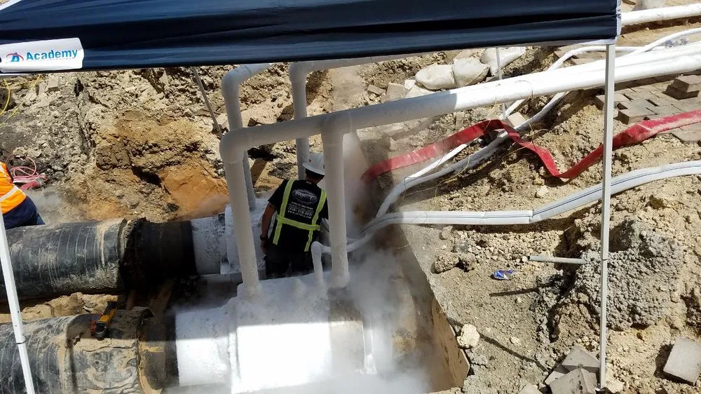 Slide of Advanced Flow Technologies