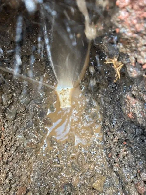 Slide of Advanced Leak Detection Services