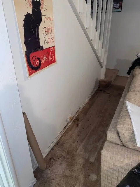 Affordable leak detection for homes in Newcastle, CA by Advanced Leak Detection Services