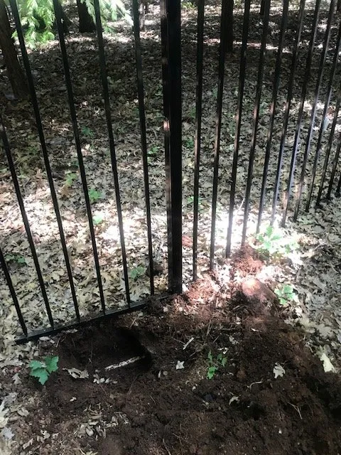 Professional leak detection in Newcastle, CA by Advanced Leak Detection Services