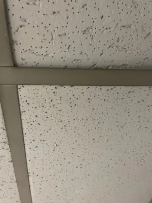 Advanced Plumbing & Construction