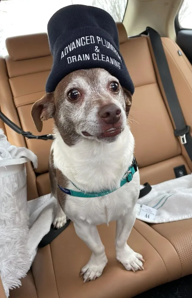 Slide of Advanced Plumbing & Drain Cleaning