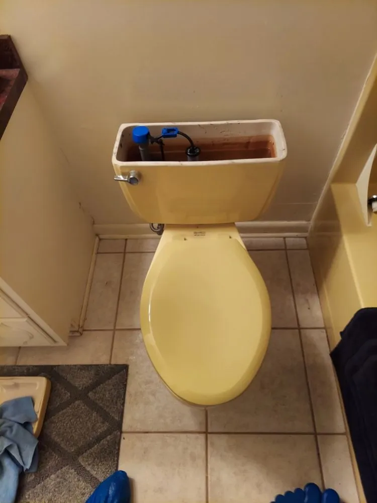 Emergency emergency plumbing in Bealeton, VA by Advanced Plumbing Solutions