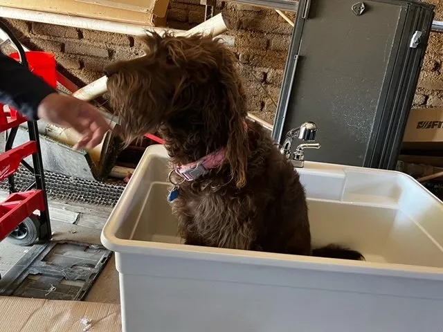 Affordable leak detection service in Yuma, AZ - Advanced Plumbing Solutions