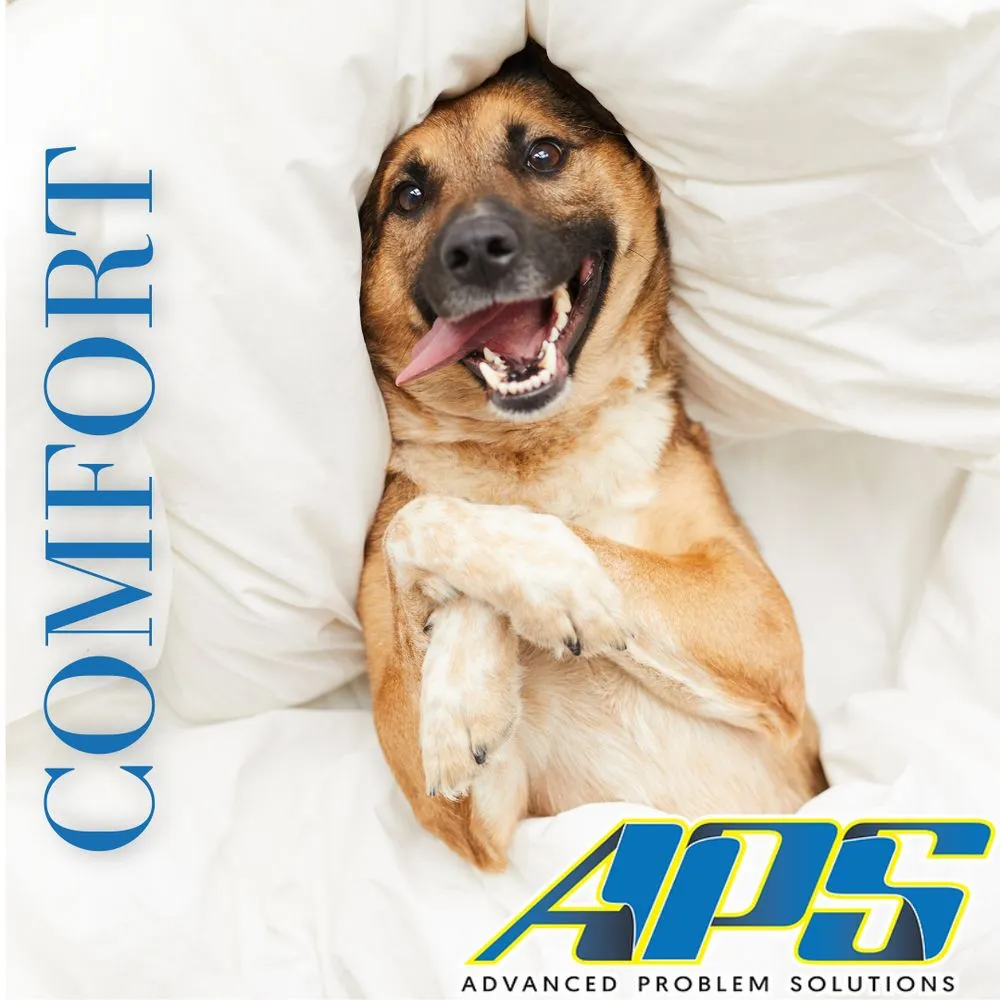 Slide of Advanced Problem Solutions