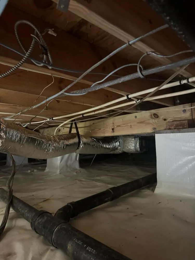 Quality drain cleaning experts serving Triangle, VA - Advanced Property Restoration