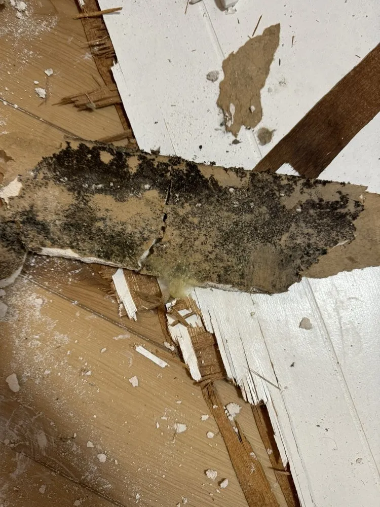 Slide of Advanced Property Restoration