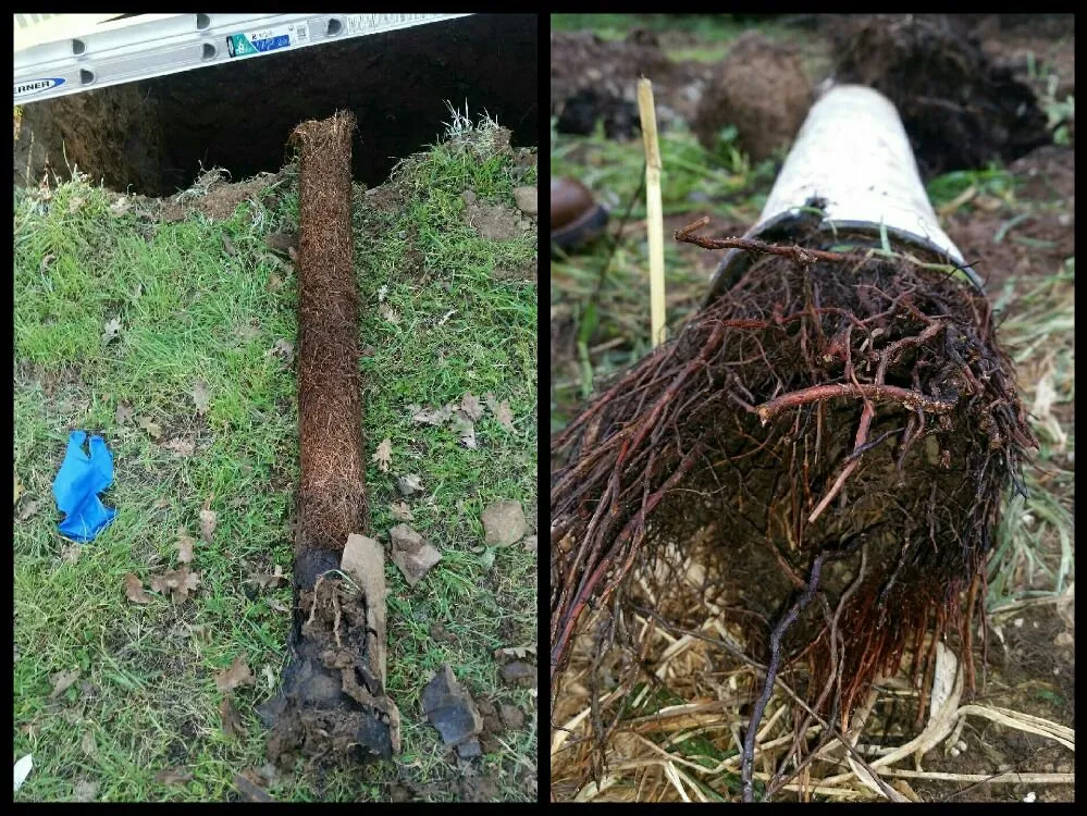 Slide of Advanced Quality Plumbing & Rooter