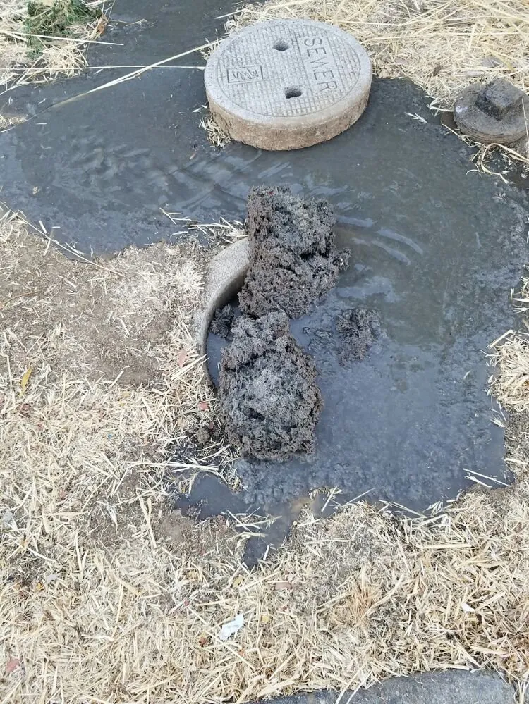 Top-rated drain cleaning service in San Jose, CA - Advanced Quality Plumbing & Rooter