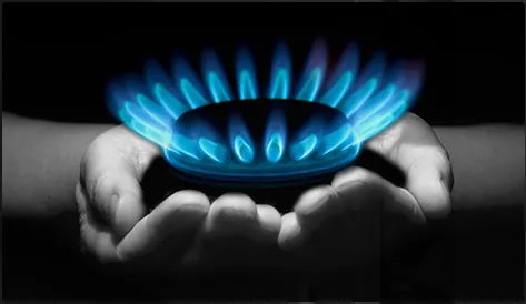 Slide of Advantage Burner