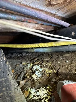 Advantage Plumbing & Drain