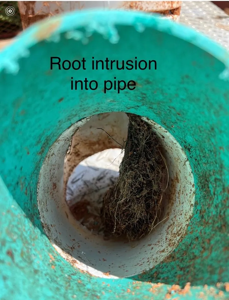 Slide of Advantage Plumbing Co